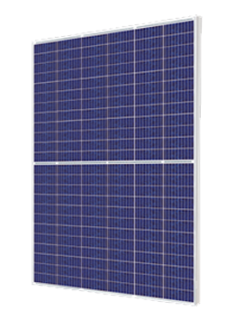 product-p-candian-solar Risen
